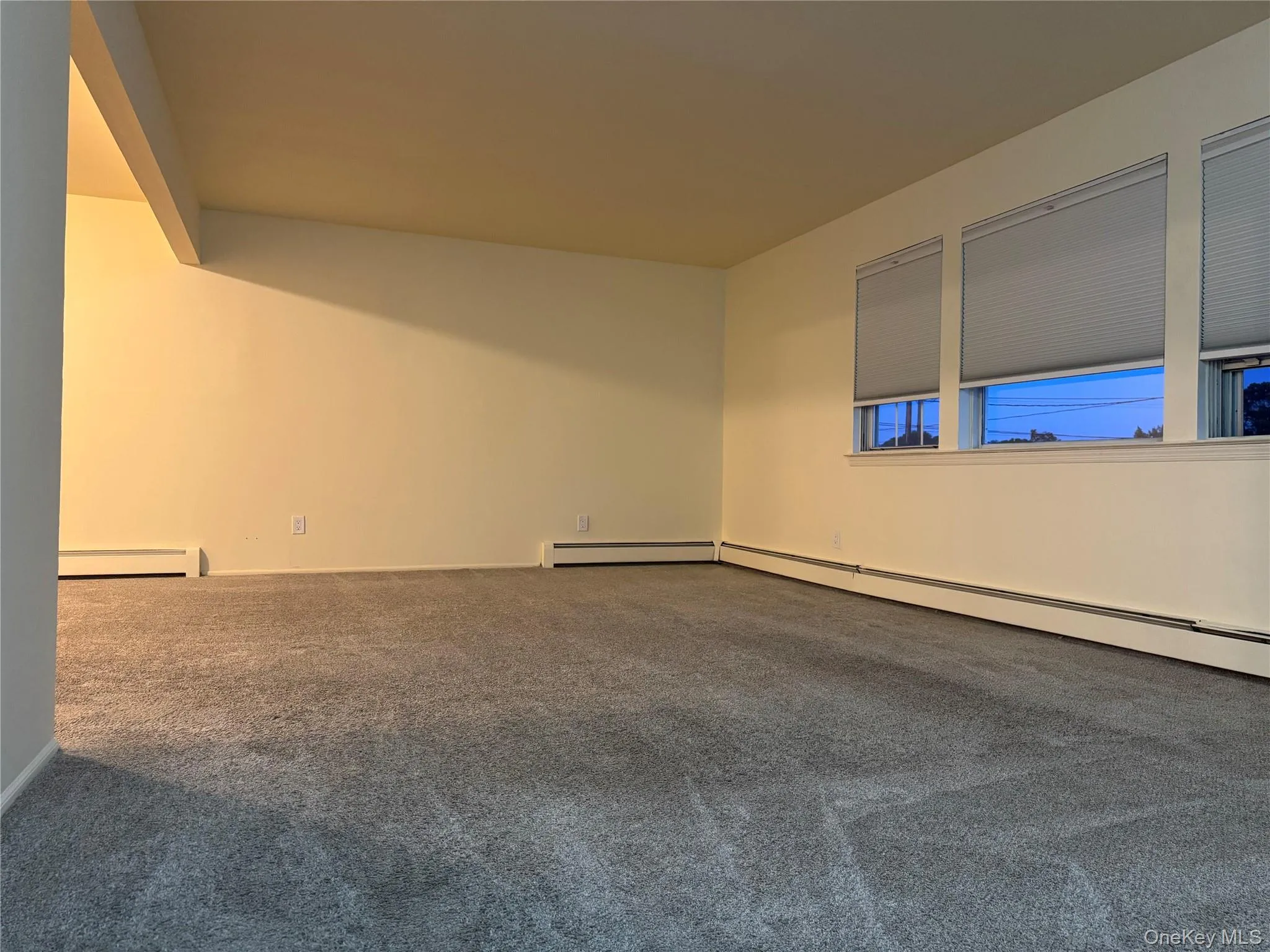 Carpeted spare room with a baseboard radiator Carpeted spare room with a baseboard radiator