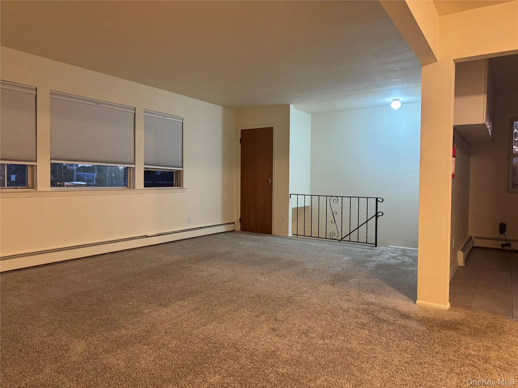 Carpeted spare room featuring a baseboard heating unit Carpeted spare room featuring a baseboard heating unit