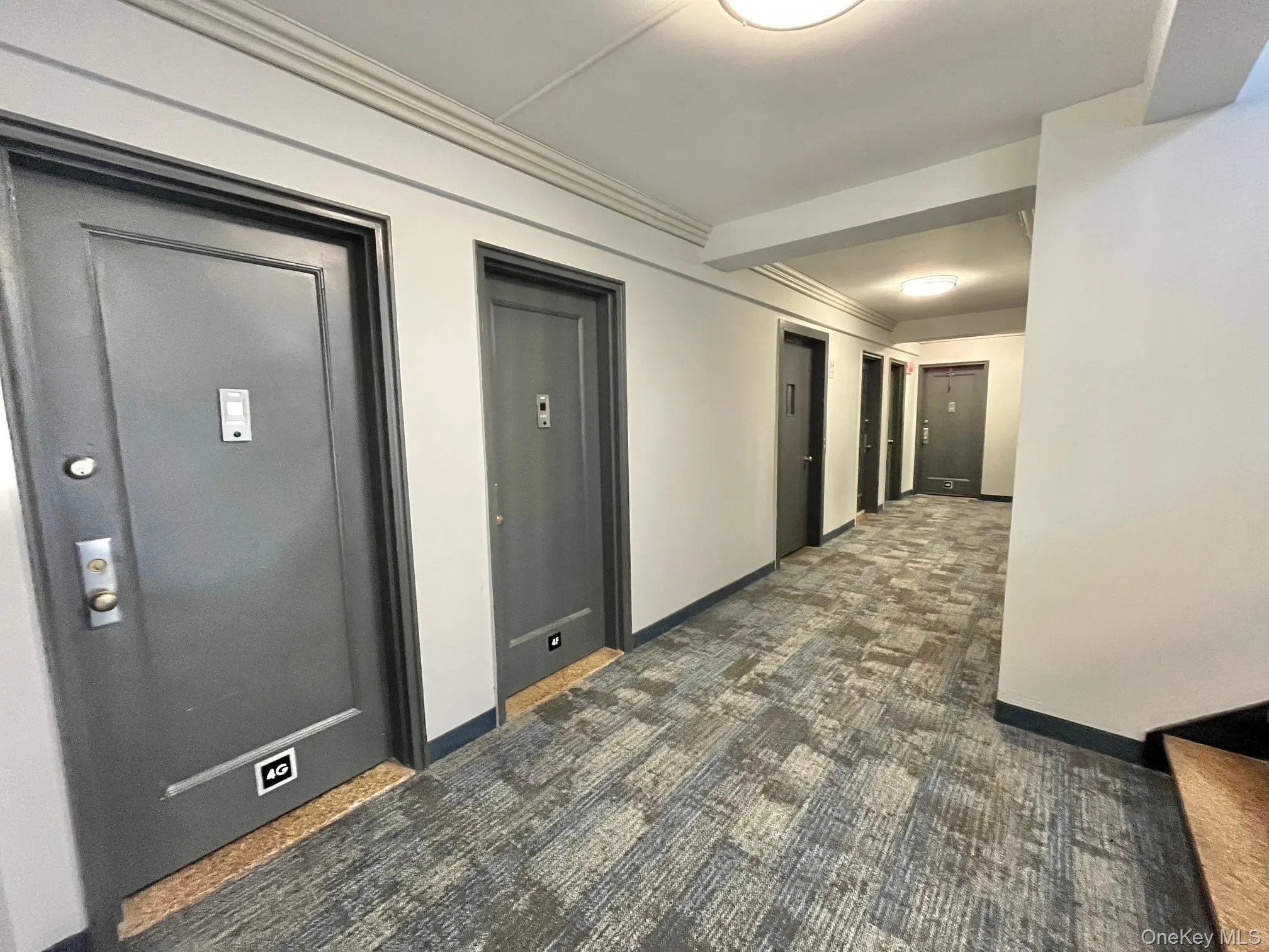 Hallways with clean carpet and crown molding Hallways with clean carpet and crown molding