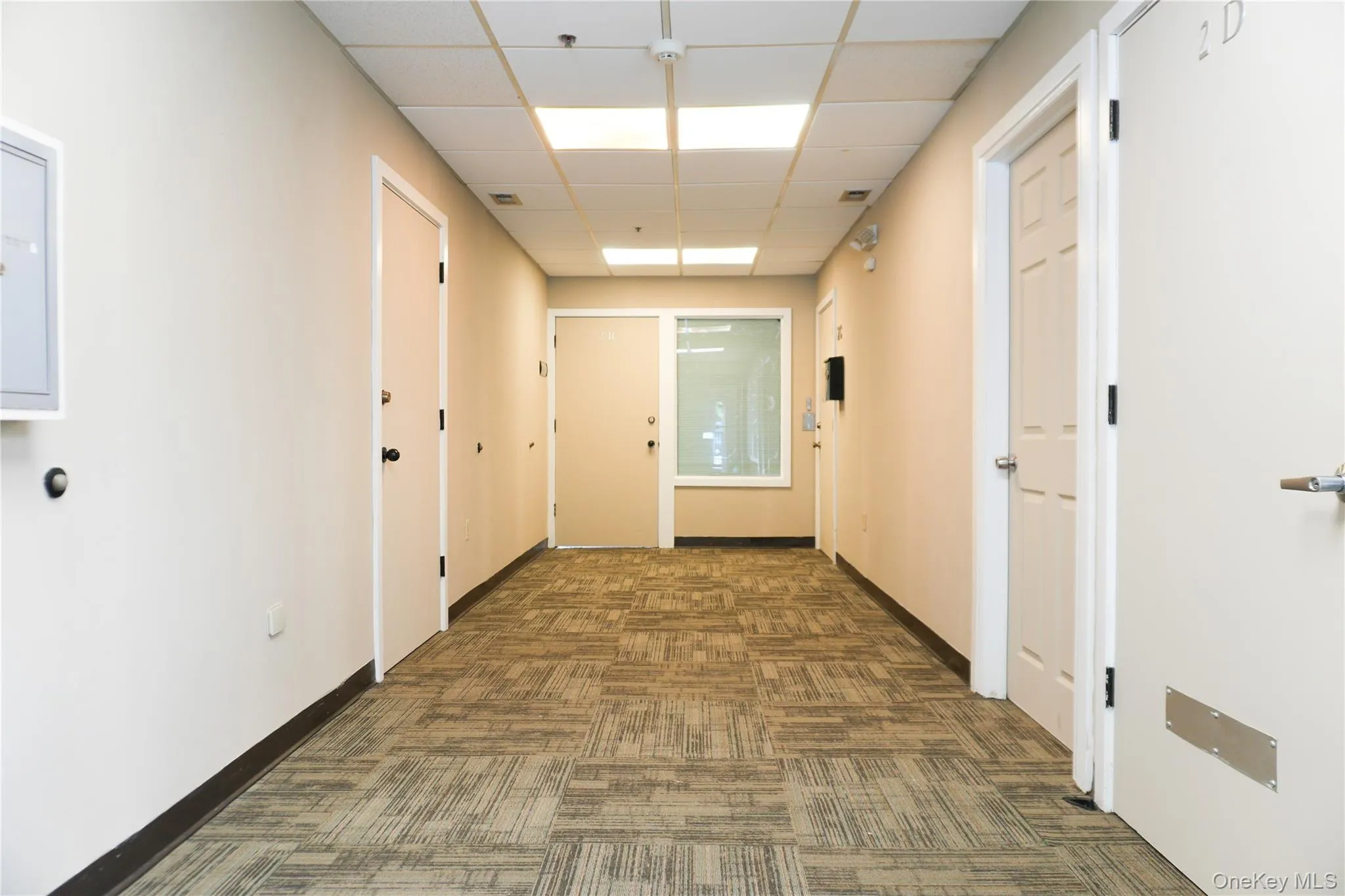 Hallway featuring dark colored carpet and a drop ceiling Hallway featuring dark colored carpet and a drop ceiling
