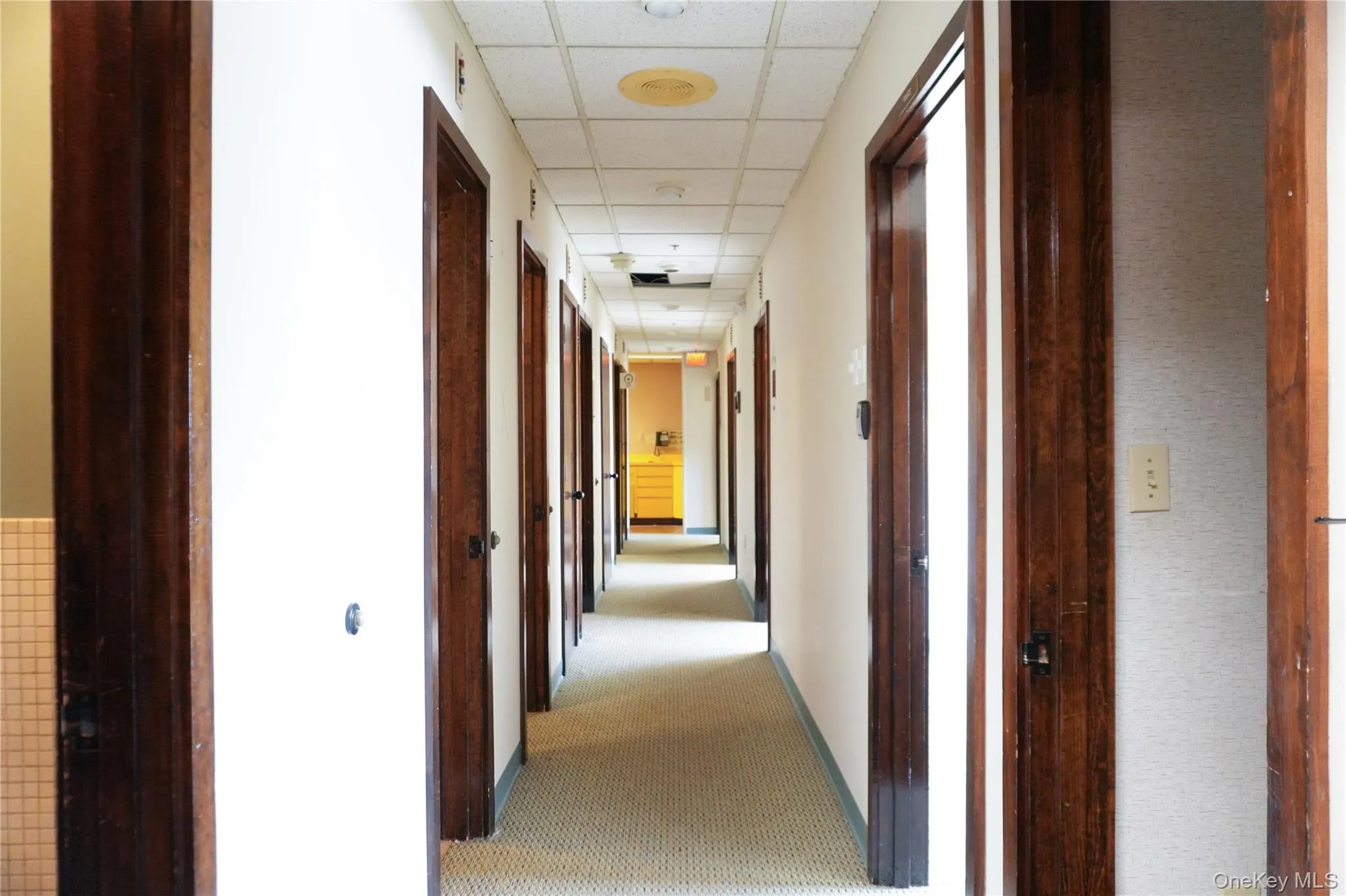 Hallway with a paneled ceiling, carpet, and tile walls Hallway with a paneled ceiling, carpet, and tile walls