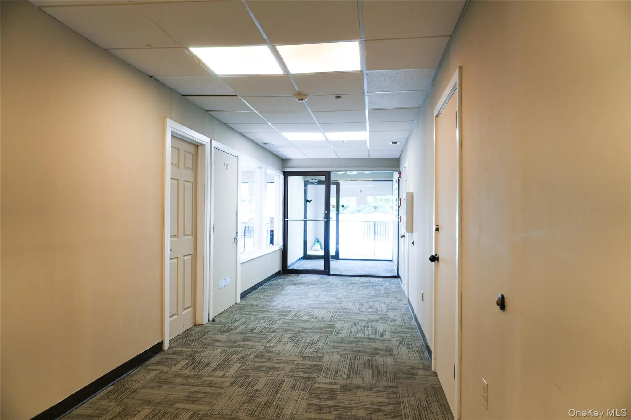 Hall featuring a paneled ceiling and dark carpet Hall featuring a paneled ceiling and dark carpet