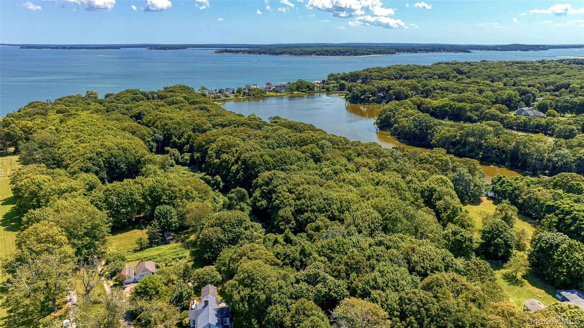 Aerial view of a heavily wooded area and a large body of water Aerial view of a heavily wooded area and a large body of water