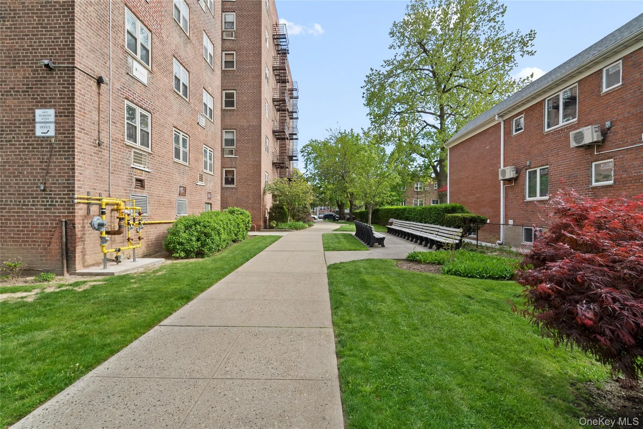 View of property's community with a yard View of property's community with a yard