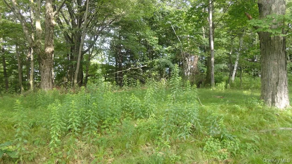 View of wooded area View of wooded area