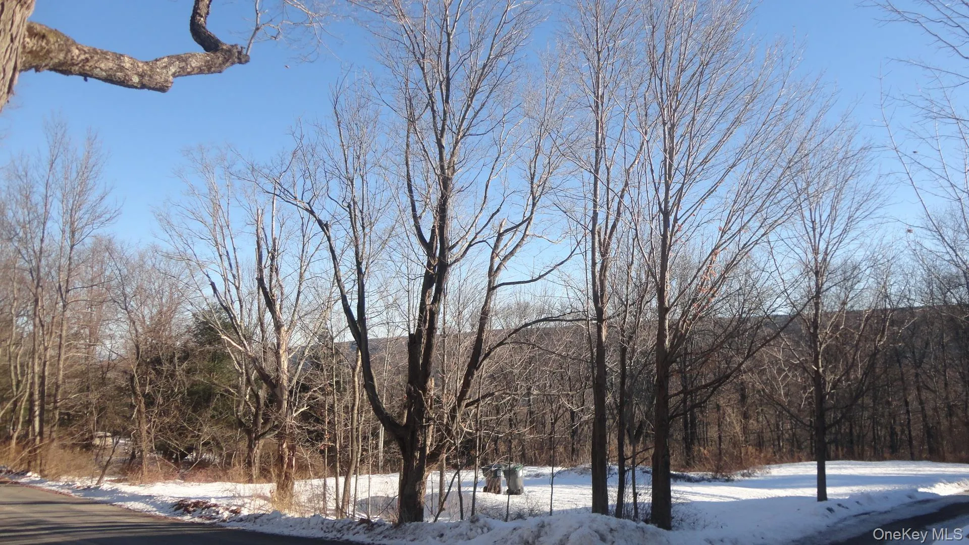 View of asphalt street featuring a forest view View of asphalt street featuring a forest view