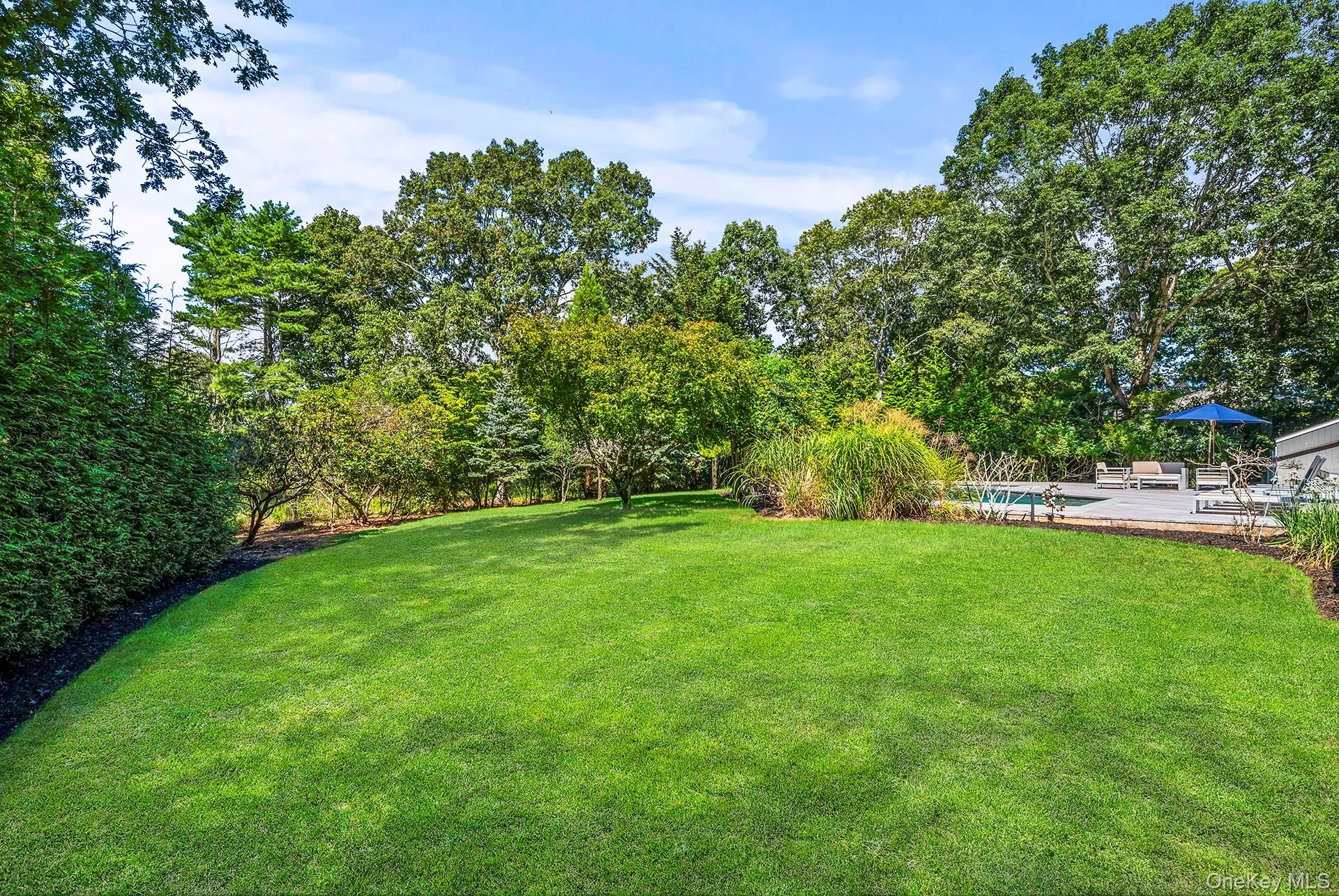 View of green lawn with view of wooded area View of green lawn with view of wooded area