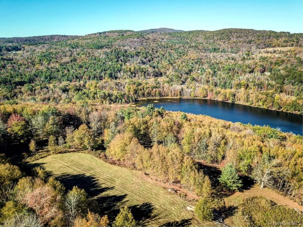 TBD State Route 55 and Smith Lane, Neversink, NY, ,Land,For Rent,State Route 55 and Smith Lane,0,910156 TBD State Route 55 and Smith Lane, Neversink, NY, ,Land,For Rent,State Route 55 and Smith Lane,0,910156