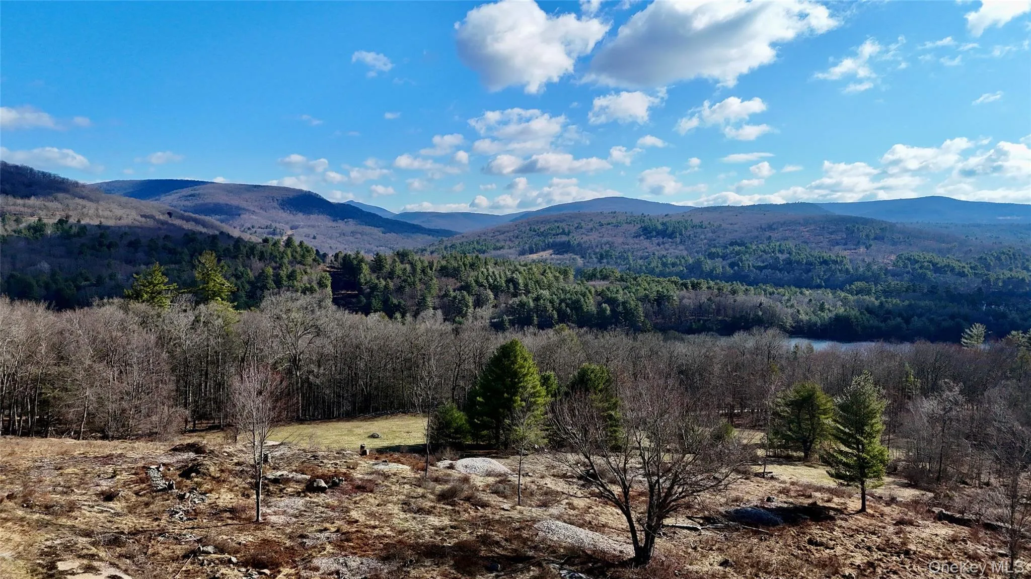 TBD State Route 55 and Smith Lane, Neversink, NY, ,Land,For Rent,State Route 55 and Smith Lane,0,910156 TBD State Route 55 and Smith Lane, Neversink, NY, ,Land,For Rent,State Route 55 and Smith Lane,0,910156
