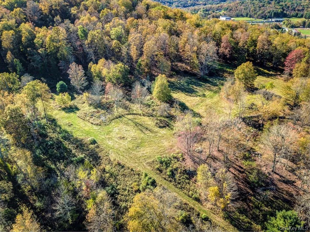 TBD State Route 55 and Smith Lane, Neversink, NY, ,Land,For Rent,State Route 55 and Smith Lane,0,910156 TBD State Route 55 and Smith Lane, Neversink, NY, ,Land,For Rent,State Route 55 and Smith Lane,0,910156