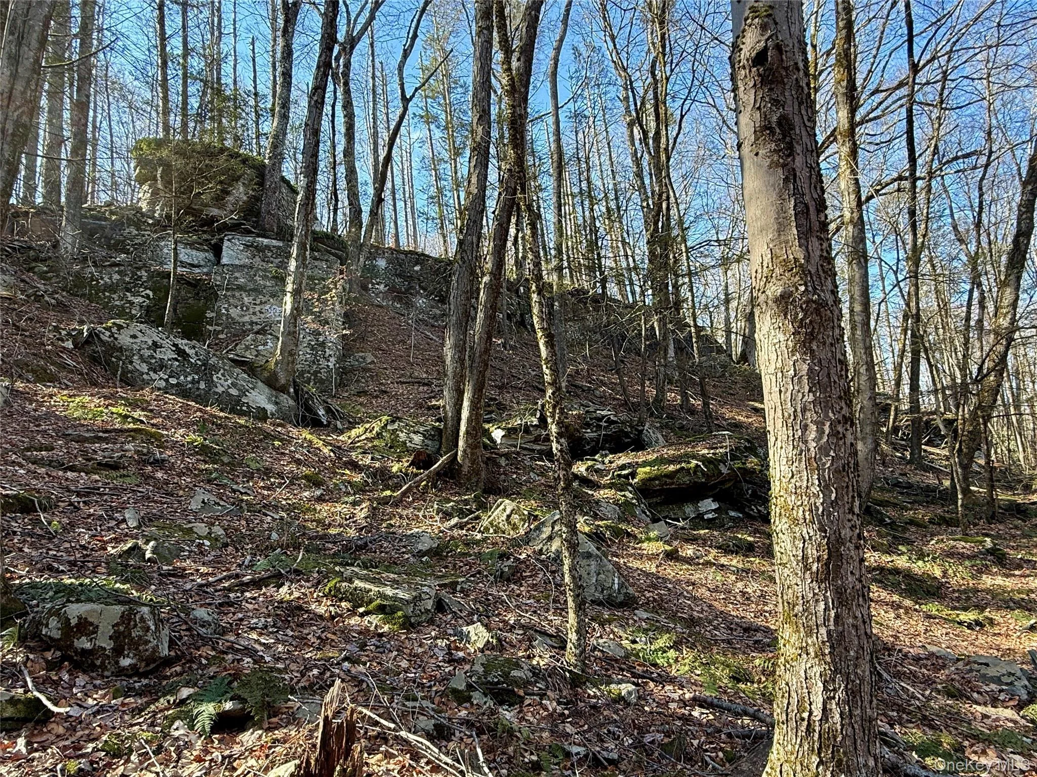 TBD State Route 55 and Smith Lane, Neversink, NY, ,Land,For Rent,State Route 55 and Smith Lane,0,910156 TBD State Route 55 and Smith Lane, Neversink, NY, ,Land,For Rent,State Route 55 and Smith Lane,0,910156
