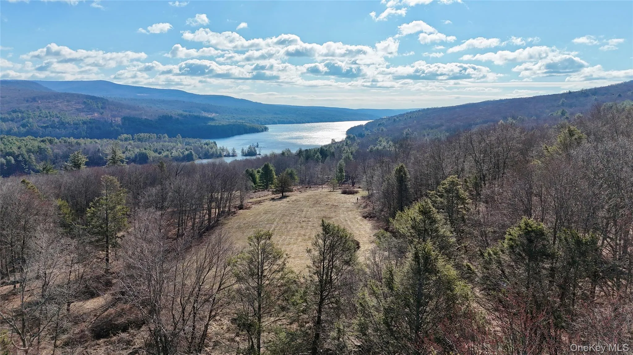 TBD State Route 55 and Smith Lane, Neversink, NY, ,Land,For Rent,State Route 55 and Smith Lane,0,910156 TBD State Route 55 and Smith Lane, Neversink, NY, ,Land,For Rent,State Route 55 and Smith Lane,0,910156
