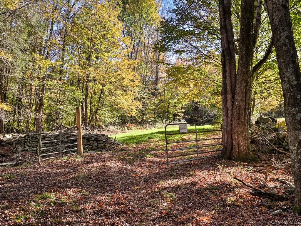 TBD State Route 55 and Smith Lane, Neversink, NY, ,Land,For Rent,State Route 55 and Smith Lane,0,910156 TBD State Route 55 and Smith Lane, Neversink, NY, ,Land,For Rent,State Route 55 and Smith Lane,0,910156