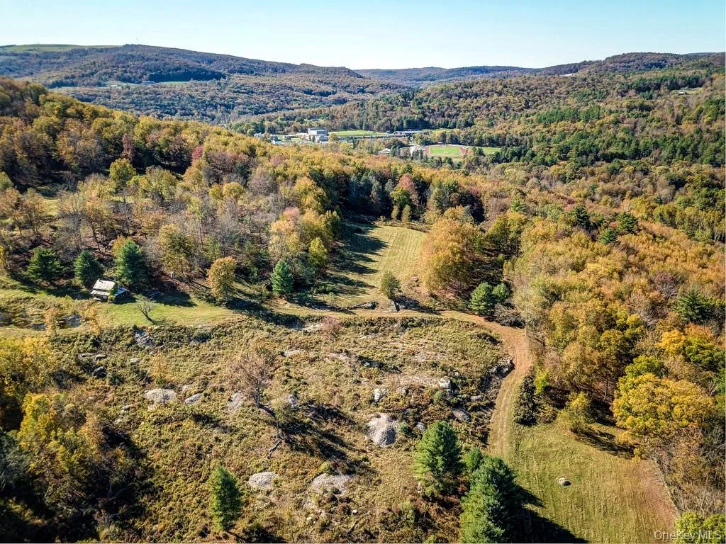 TBD State Route 55 and Smith Lane, Neversink, NY, ,Land,For Rent,State Route 55 and Smith Lane,0,910156 TBD State Route 55 and Smith Lane, Neversink, NY, ,Land,For Rent,State Route 55 and Smith Lane,0,910156