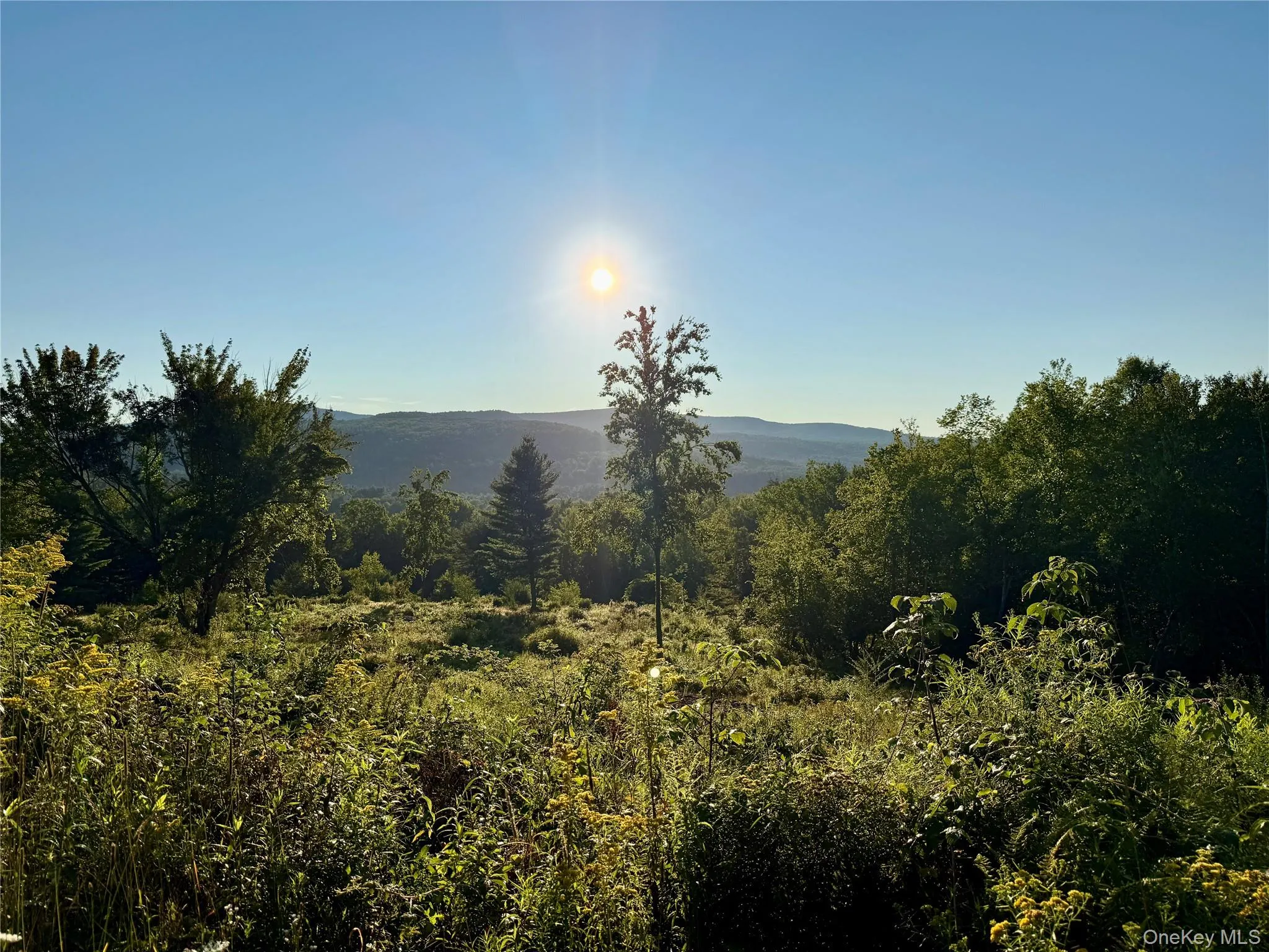 TBD State Route 55 and Smith Lane, Neversink, NY, ,Land,For Rent,State Route 55 and Smith Lane,0,910156 TBD State Route 55 and Smith Lane, Neversink, NY, ,Land,For Rent,State Route 55 and Smith Lane,0,910156