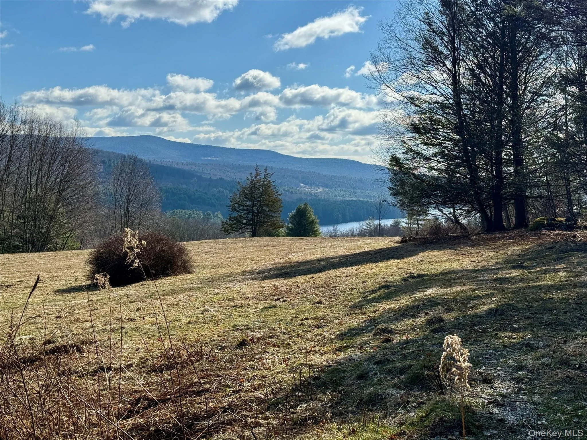 TBD State Route 55 and Smith Lane, Neversink, NY, ,Land,For Rent,State Route 55 and Smith Lane,0,910156 TBD State Route 55 and Smith Lane, Neversink, NY, ,Land,For Rent,State Route 55 and Smith Lane,0,910156