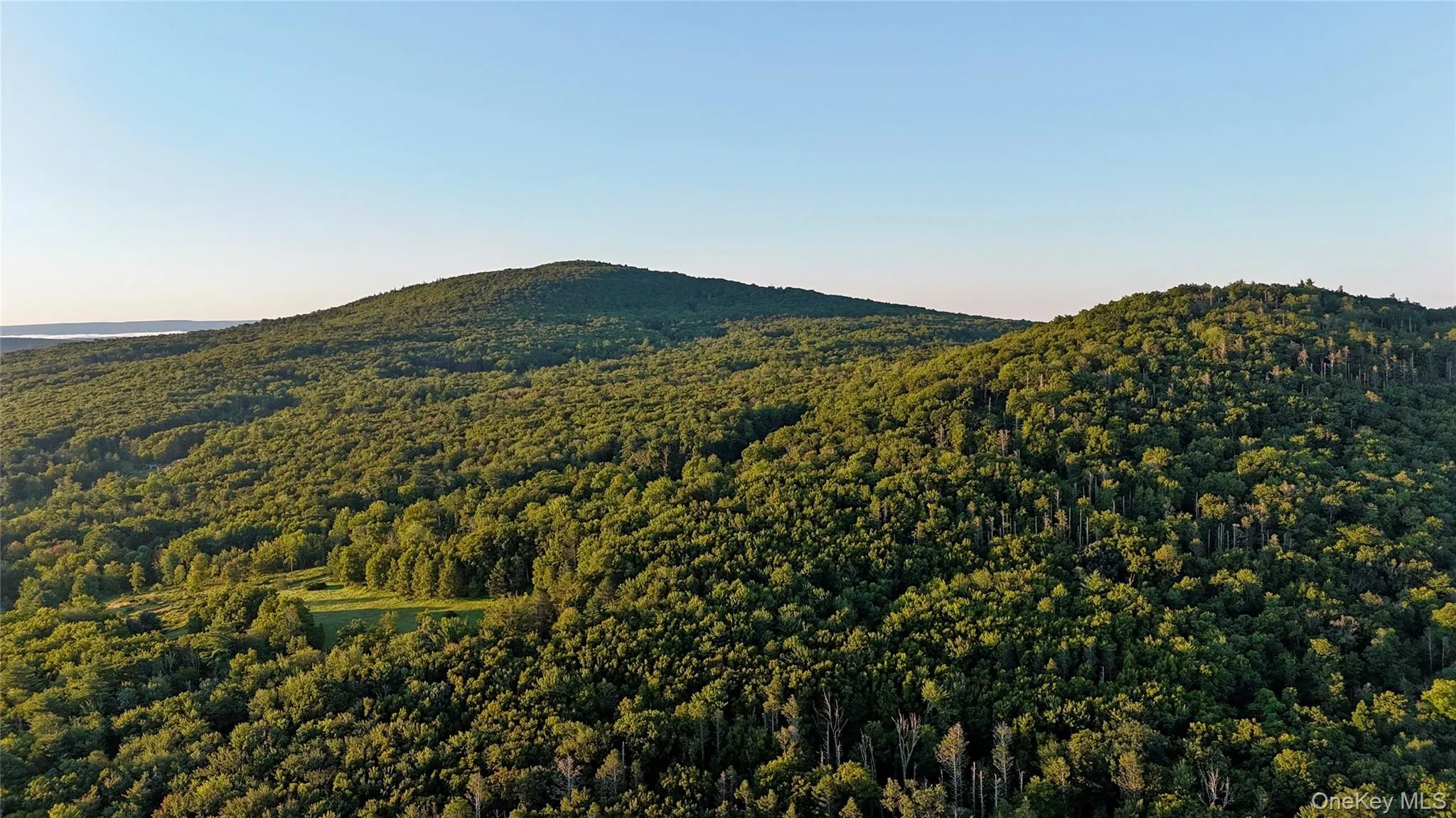TBD State Route 55 and Smith Lane, Neversink, NY, ,Land,For Rent,State Route 55 and Smith Lane,0,910156 TBD State Route 55 and Smith Lane, Neversink, NY, ,Land,For Rent,State Route 55 and Smith Lane,0,910156