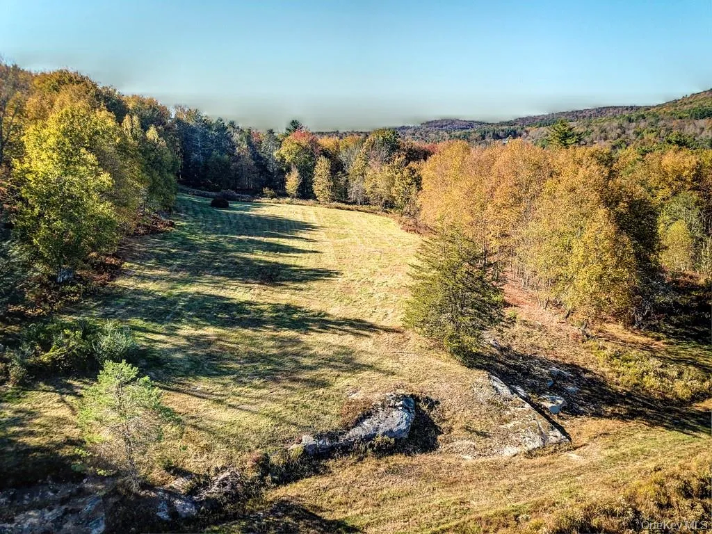 TBD State Route 55 and Smith Lane, Neversink, NY, ,Land,For Rent,State Route 55 and Smith Lane,0,910156 TBD State Route 55 and Smith Lane, Neversink, NY, ,Land,For Rent,State Route 55 and Smith Lane,0,910156