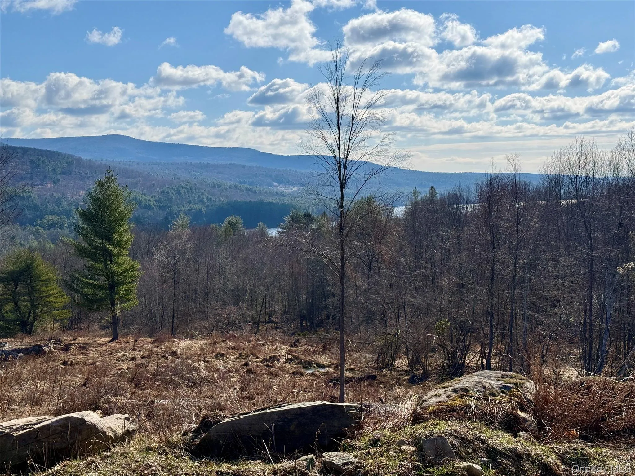 TBD State Route 55 and Smith Lane, Neversink, NY, ,Land,For Rent,State Route 55 and Smith Lane,0,910156 TBD State Route 55 and Smith Lane, Neversink, NY, ,Land,For Rent,State Route 55 and Smith Lane,0,910156