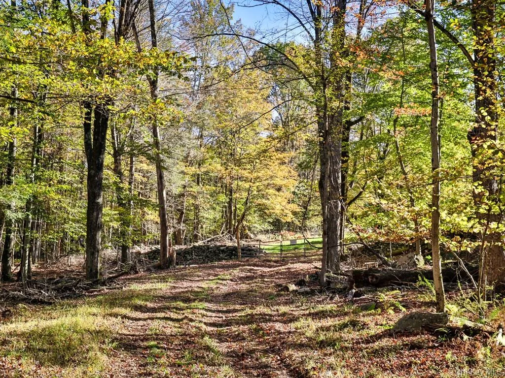 TBD State Route 55 and Smith Lane, Neversink, NY, ,Land,For Rent,State Route 55 and Smith Lane,0,910156 TBD State Route 55 and Smith Lane, Neversink, NY, ,Land,For Rent,State Route 55 and Smith Lane,0,910156