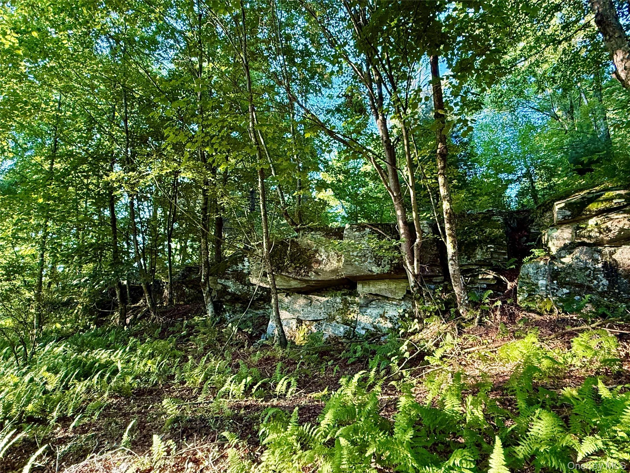 TBD State Route 55 and Smith Lane, Neversink, NY, ,Land,For Rent,State Route 55 and Smith Lane,0,910156 TBD State Route 55 and Smith Lane, Neversink, NY, ,Land,For Rent,State Route 55 and Smith Lane,0,910156