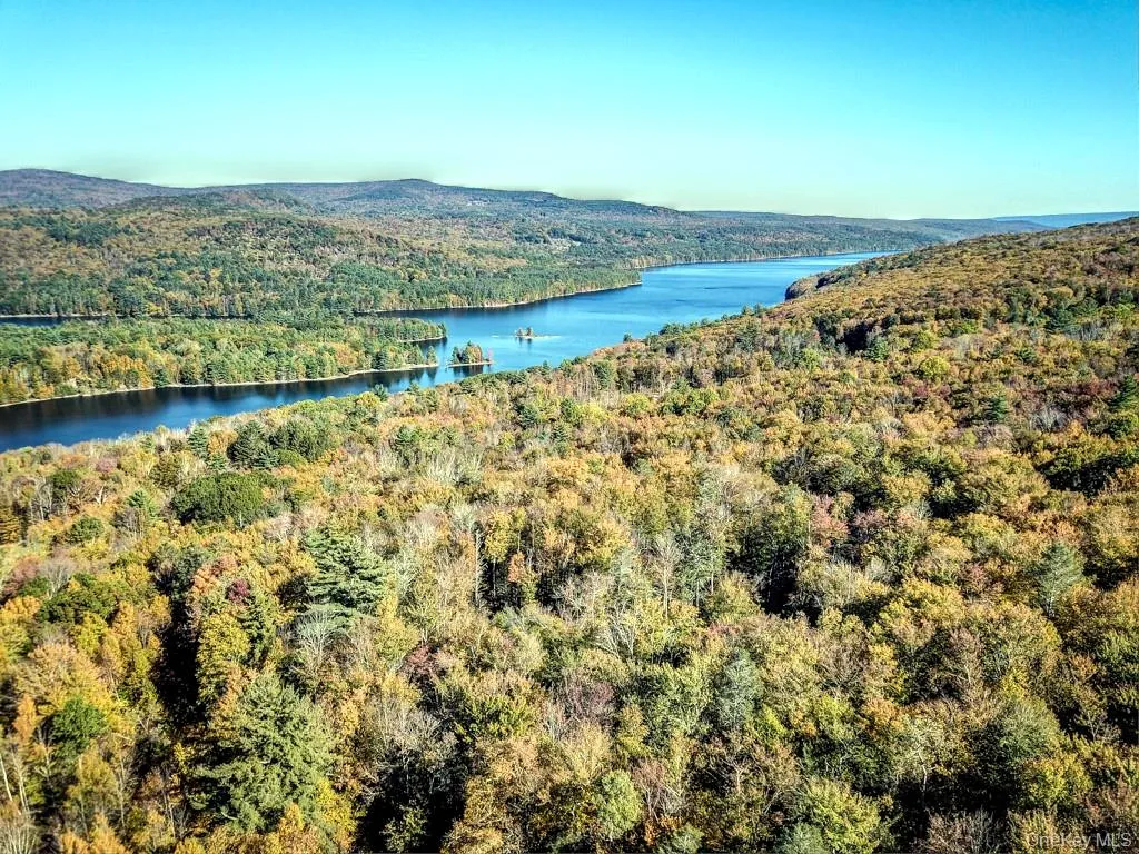 TBD State Route 55 and Smith Lane, Neversink, NY, ,Land,For Rent,State Route 55 and Smith Lane,0,910156 TBD State Route 55 and Smith Lane, Neversink, NY, ,Land,For Rent,State Route 55 and Smith Lane,0,910156