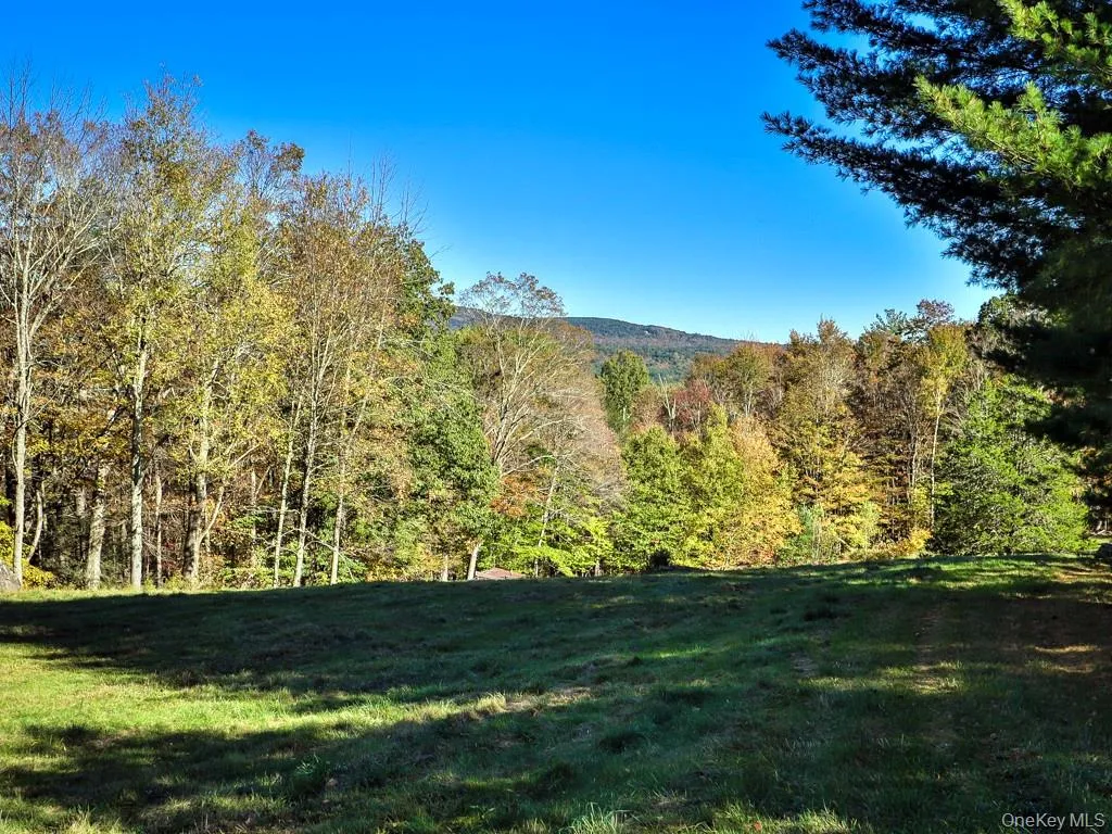 TBD State Route 55 and Smith Lane, Neversink, NY, ,Land,For Rent,State Route 55 and Smith Lane,0,910156 TBD State Route 55 and Smith Lane, Neversink, NY, ,Land,For Rent,State Route 55 and Smith Lane,0,910156