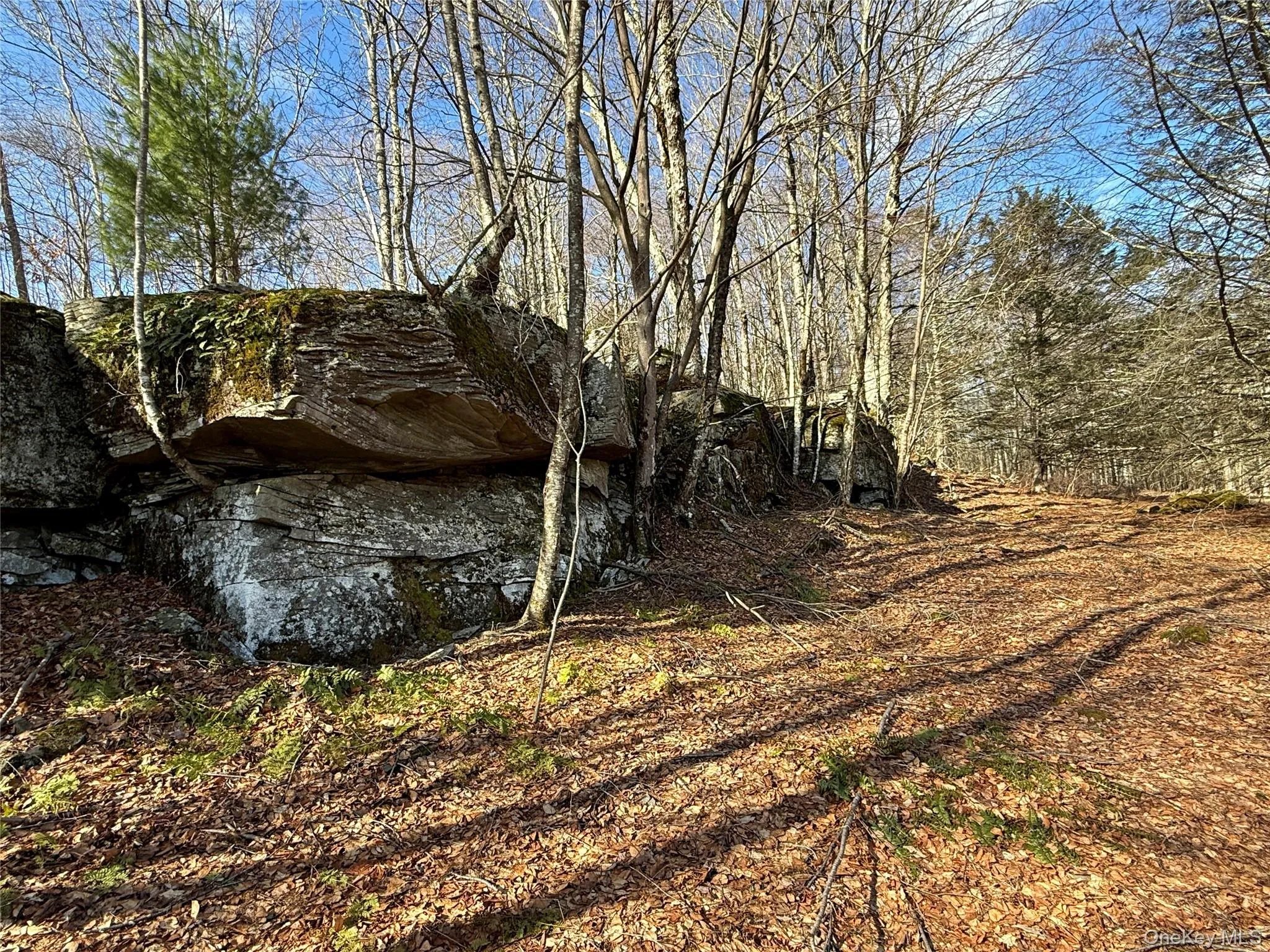 TBD State Route 55 and Smith Lane, Neversink, NY, ,Land,For Rent,State Route 55 and Smith Lane,0,910156 TBD State Route 55 and Smith Lane, Neversink, NY, ,Land,For Rent,State Route 55 and Smith Lane,0,910156