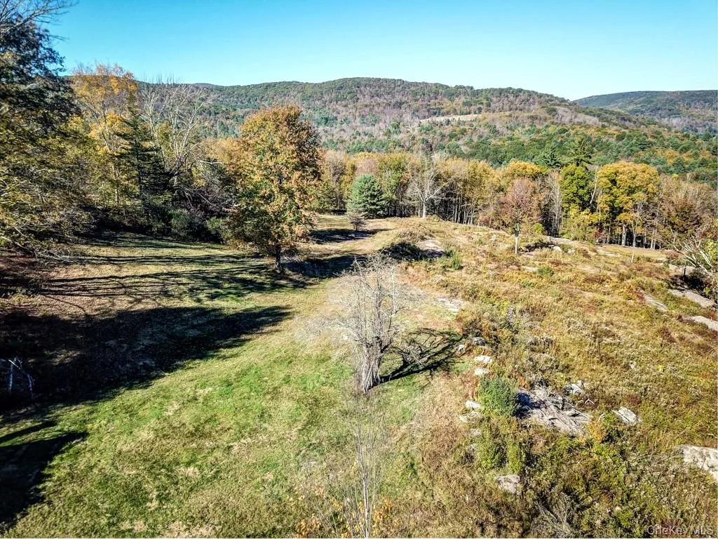 TBD State Route 55 and Smith Lane, Neversink, NY, ,Land,For Rent,State Route 55 and Smith Lane,0,910156 TBD State Route 55 and Smith Lane, Neversink, NY, ,Land,For Rent,State Route 55 and Smith Lane,0,910156