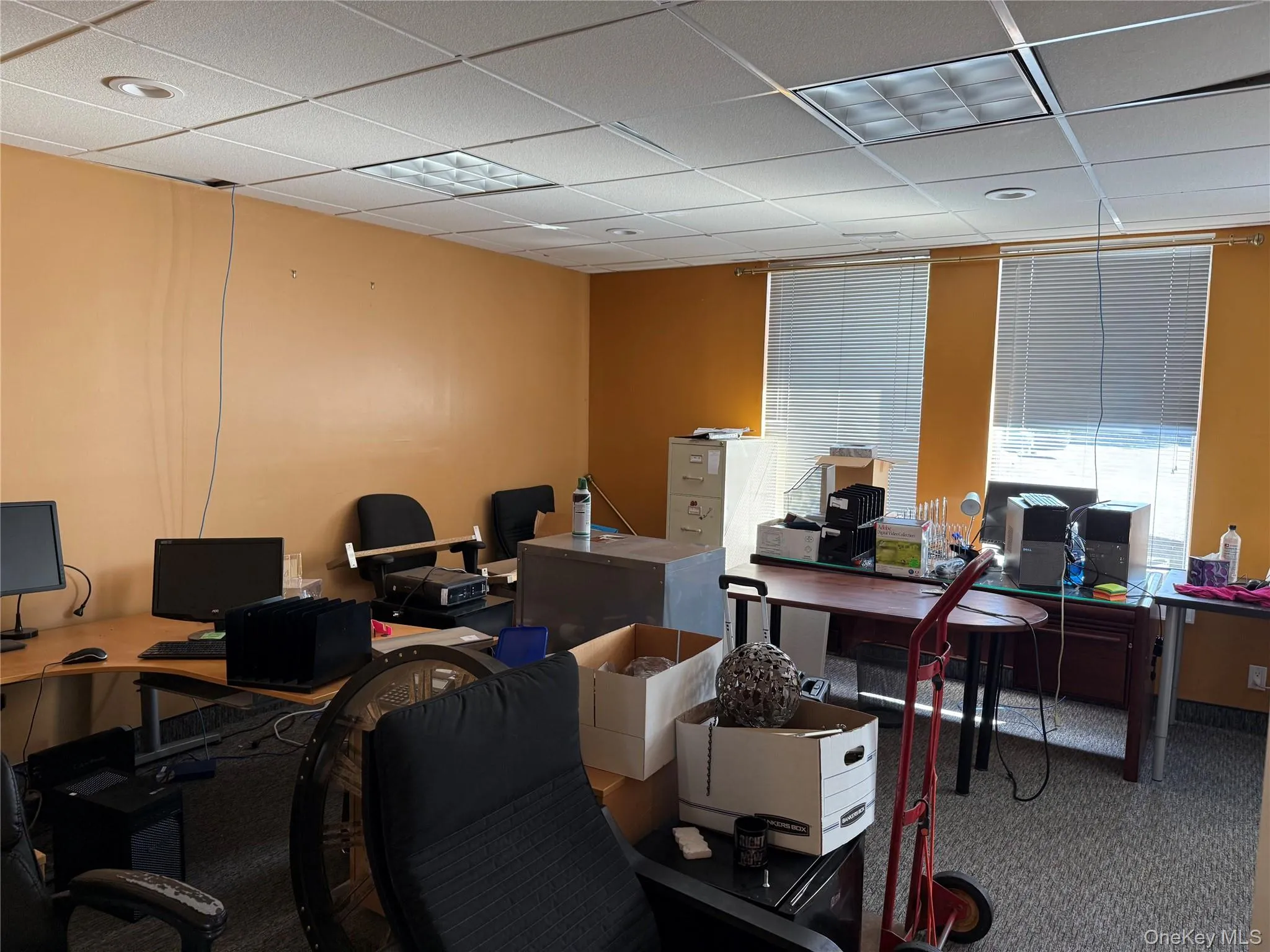 Office space with a paneled ceiling and carpet floors Office space with a paneled ceiling and carpet floors