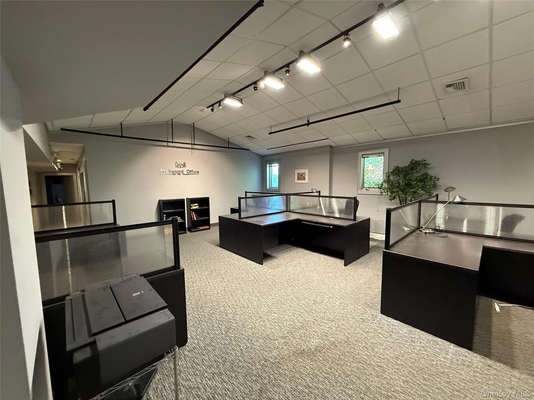 Office area with light colored carpet and rail lighting Office area with light colored carpet and rail lighting