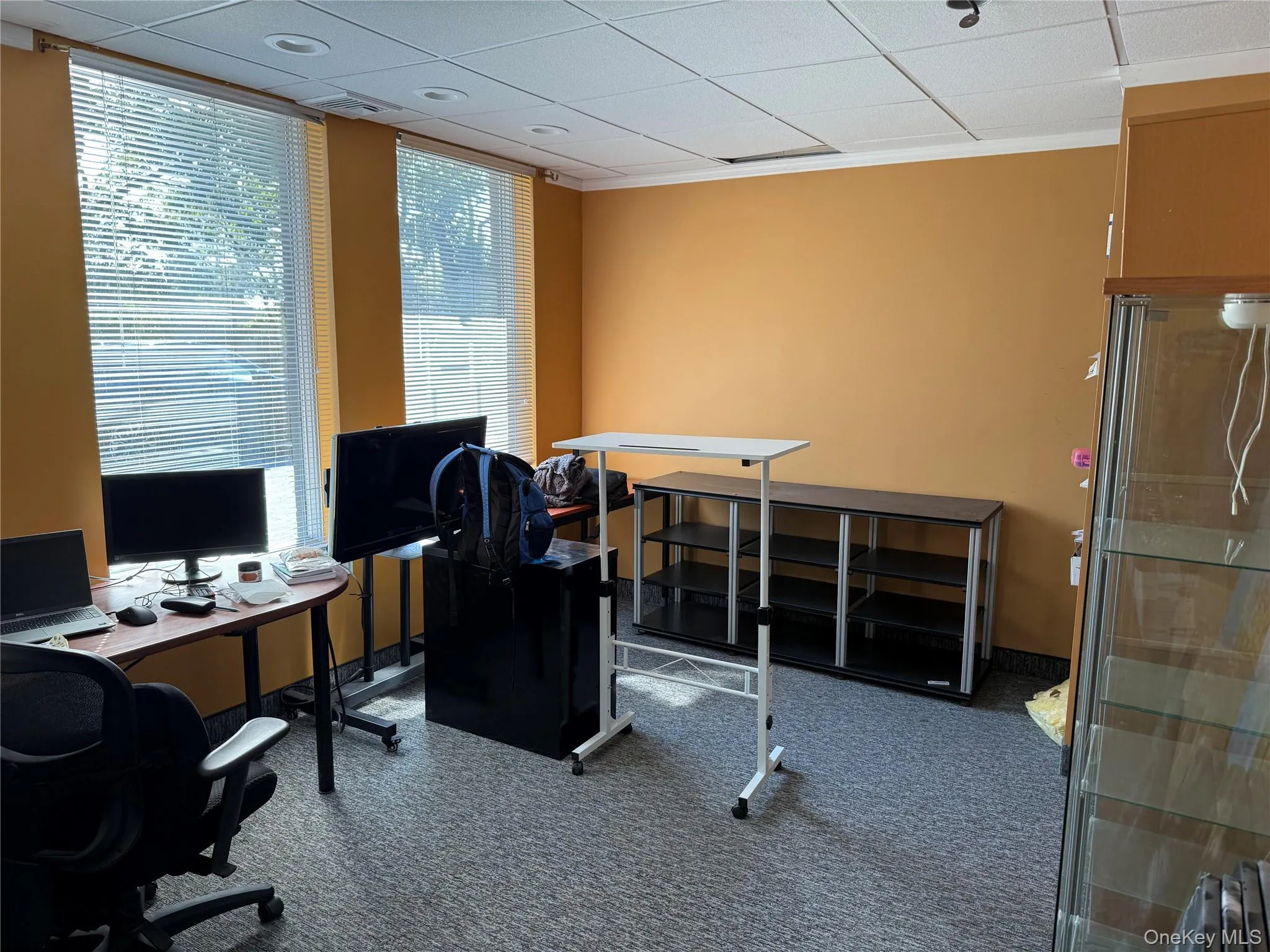 Carpeted office space featuring a drop ceiling and baseboards Carpeted office space featuring a drop ceiling and baseboards