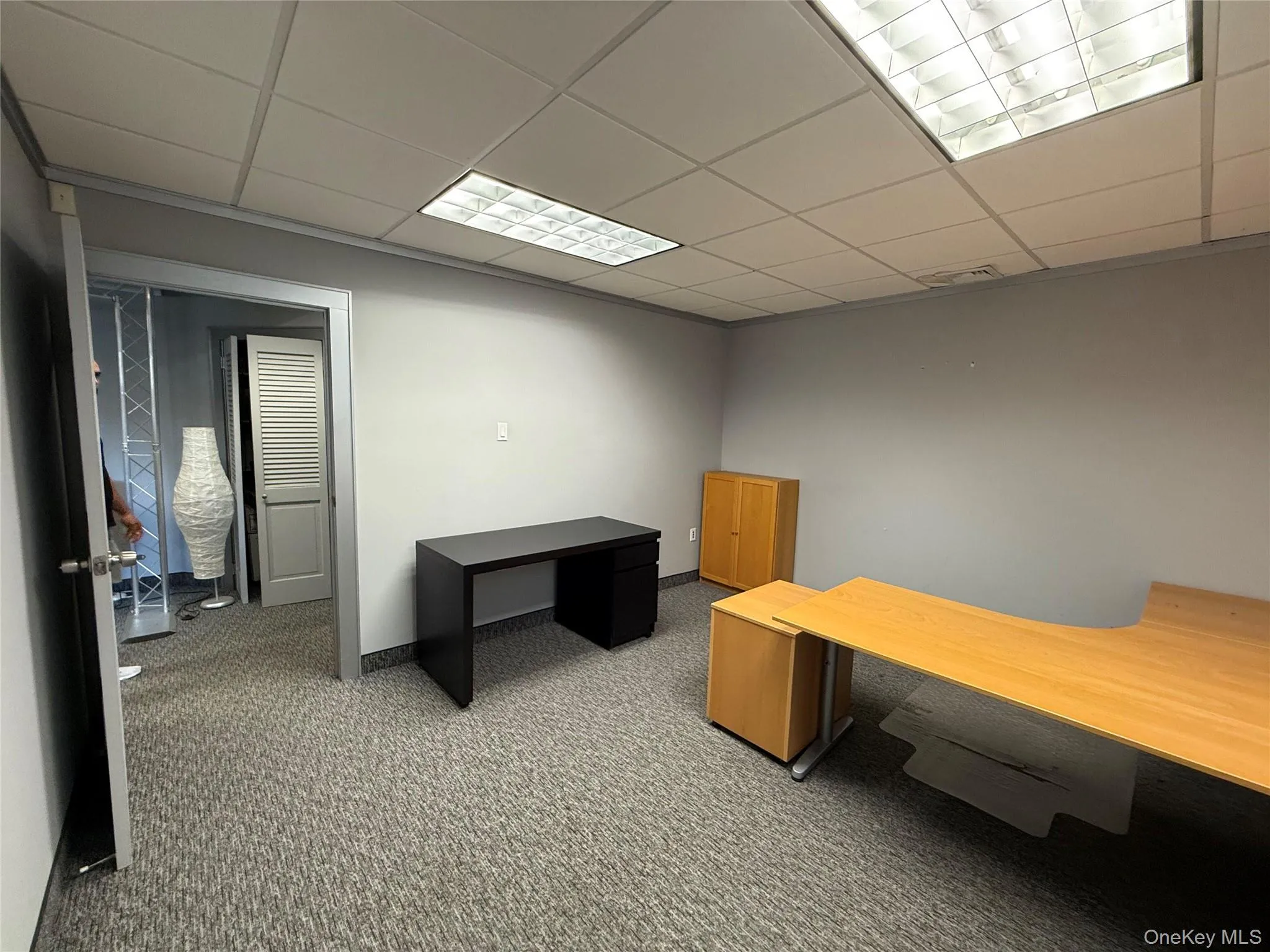 Office featuring a drop ceiling and light carpet Office featuring a drop ceiling and light carpet