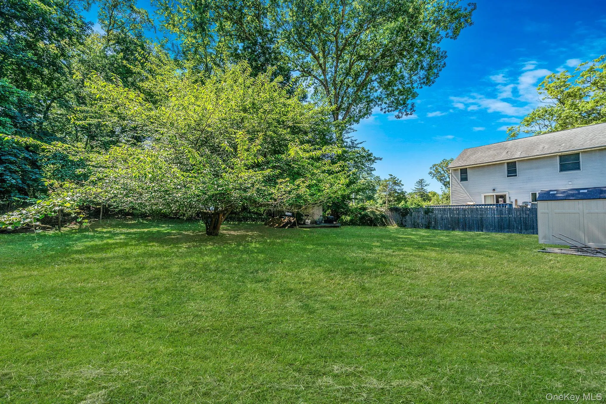 View of yard View of yard