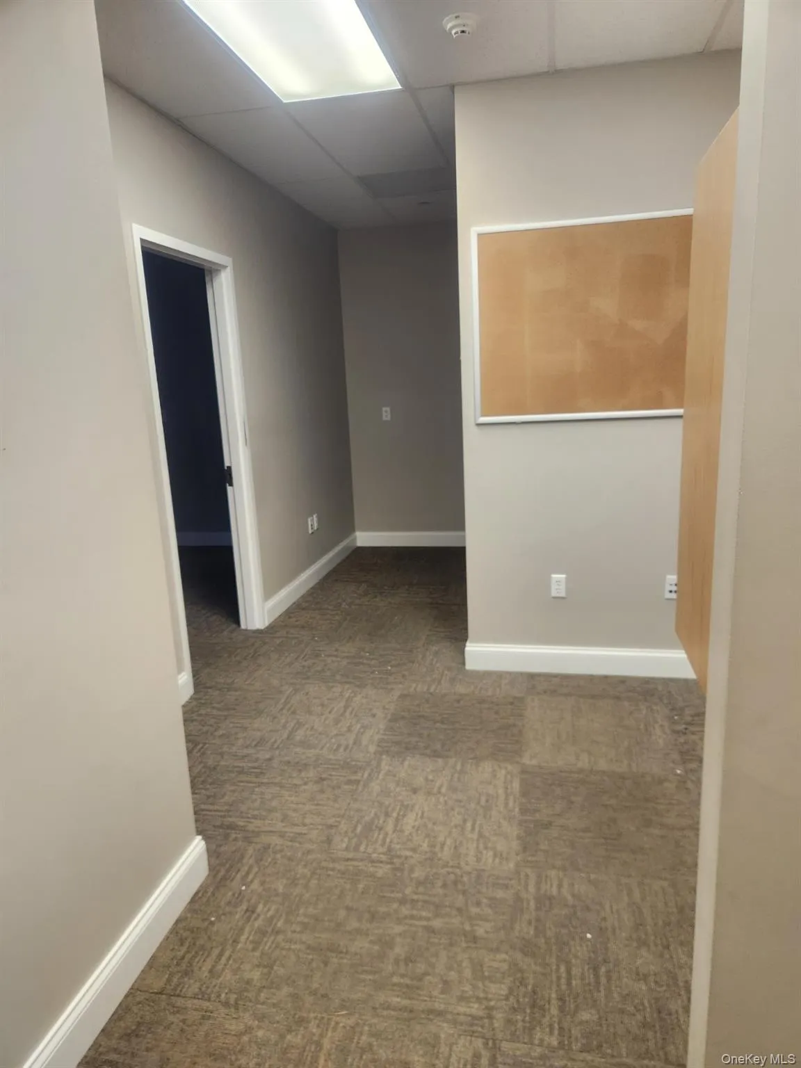 Carpeted empty room featuring a paneled ceiling and baseboards Carpeted empty room featuring a paneled ceiling and baseboards
