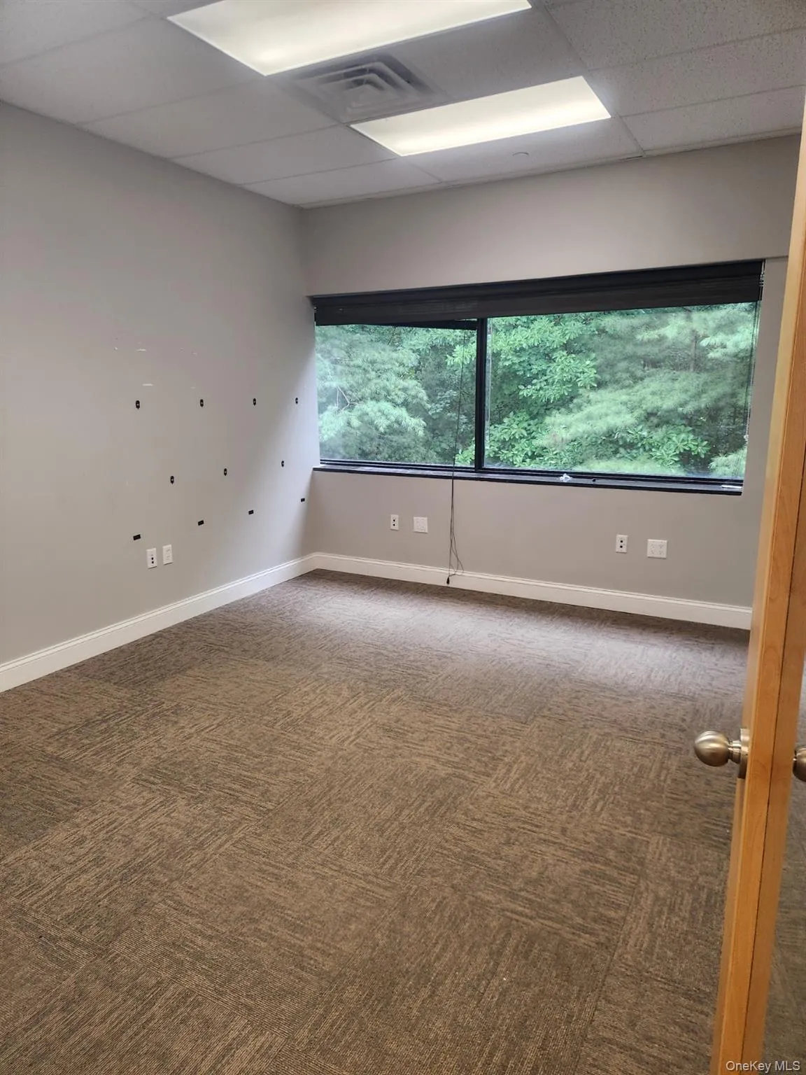 Spare room with a drop ceiling and dark colored carpet Spare room with a drop ceiling and dark colored carpet