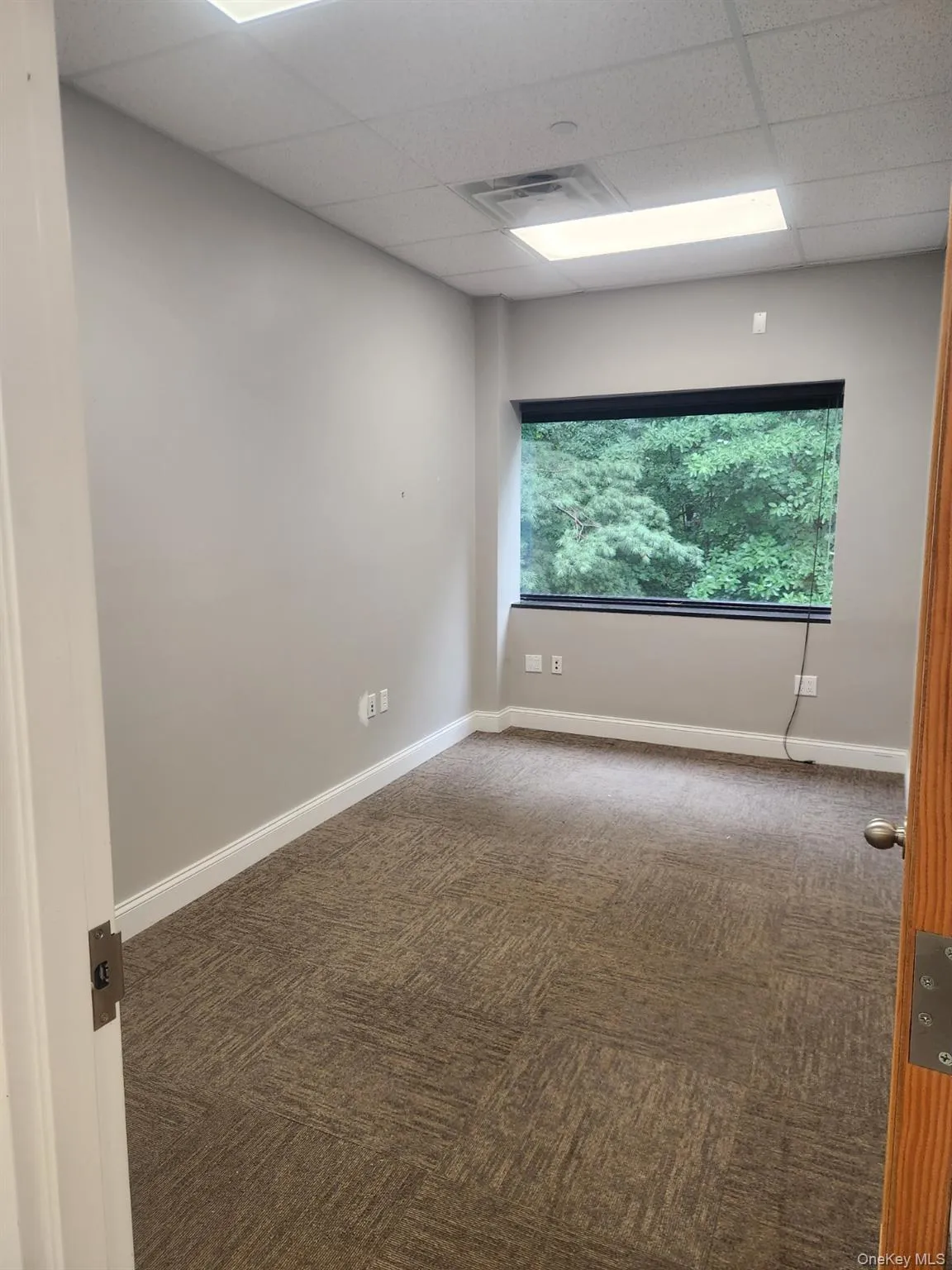 Unfurnished room with a drop ceiling and carpet floors Unfurnished room with a drop ceiling and carpet floors