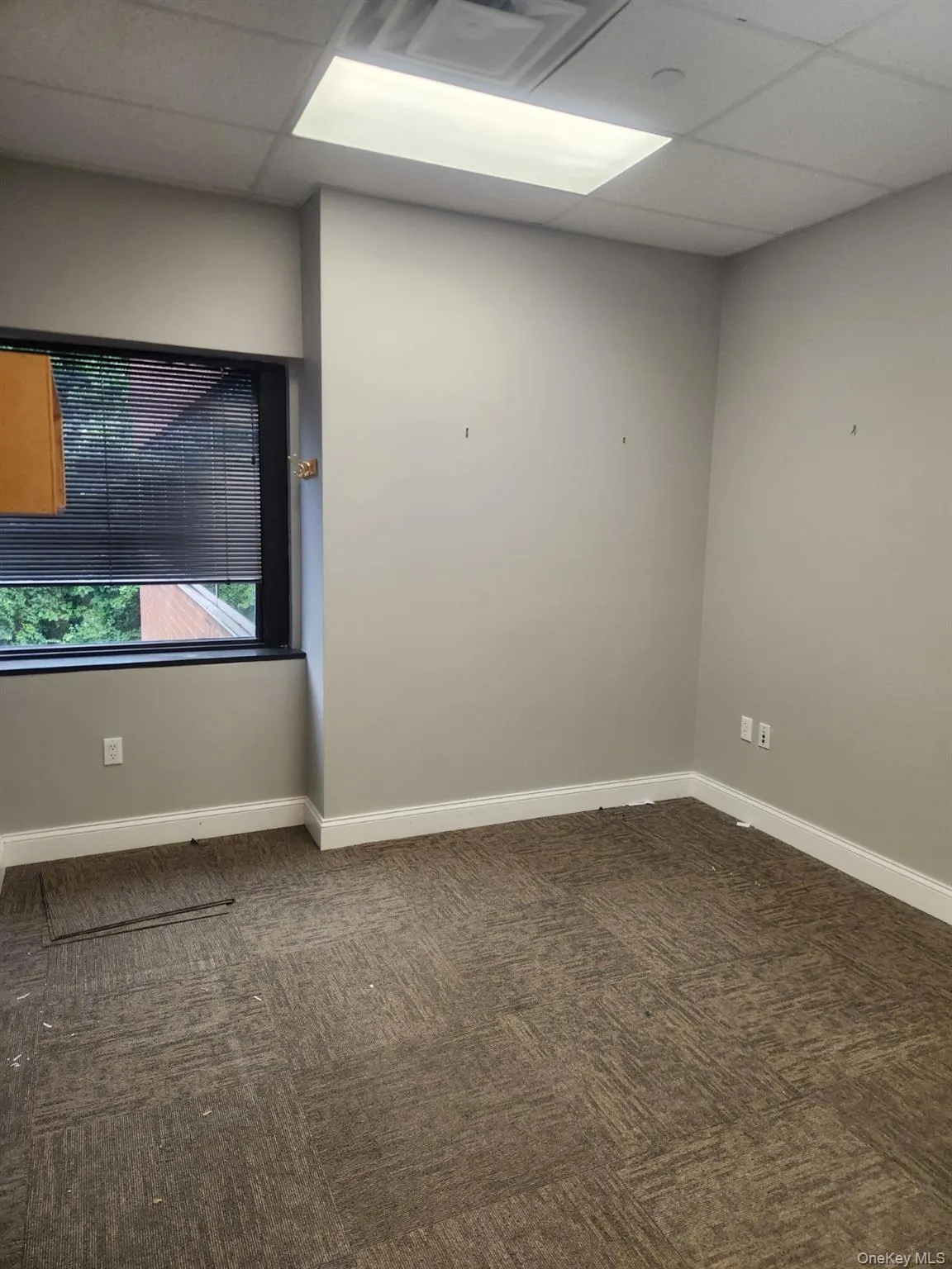 Unfurnished room with a paneled ceiling and dark colored carpet Unfurnished room with a paneled ceiling and dark colored carpet