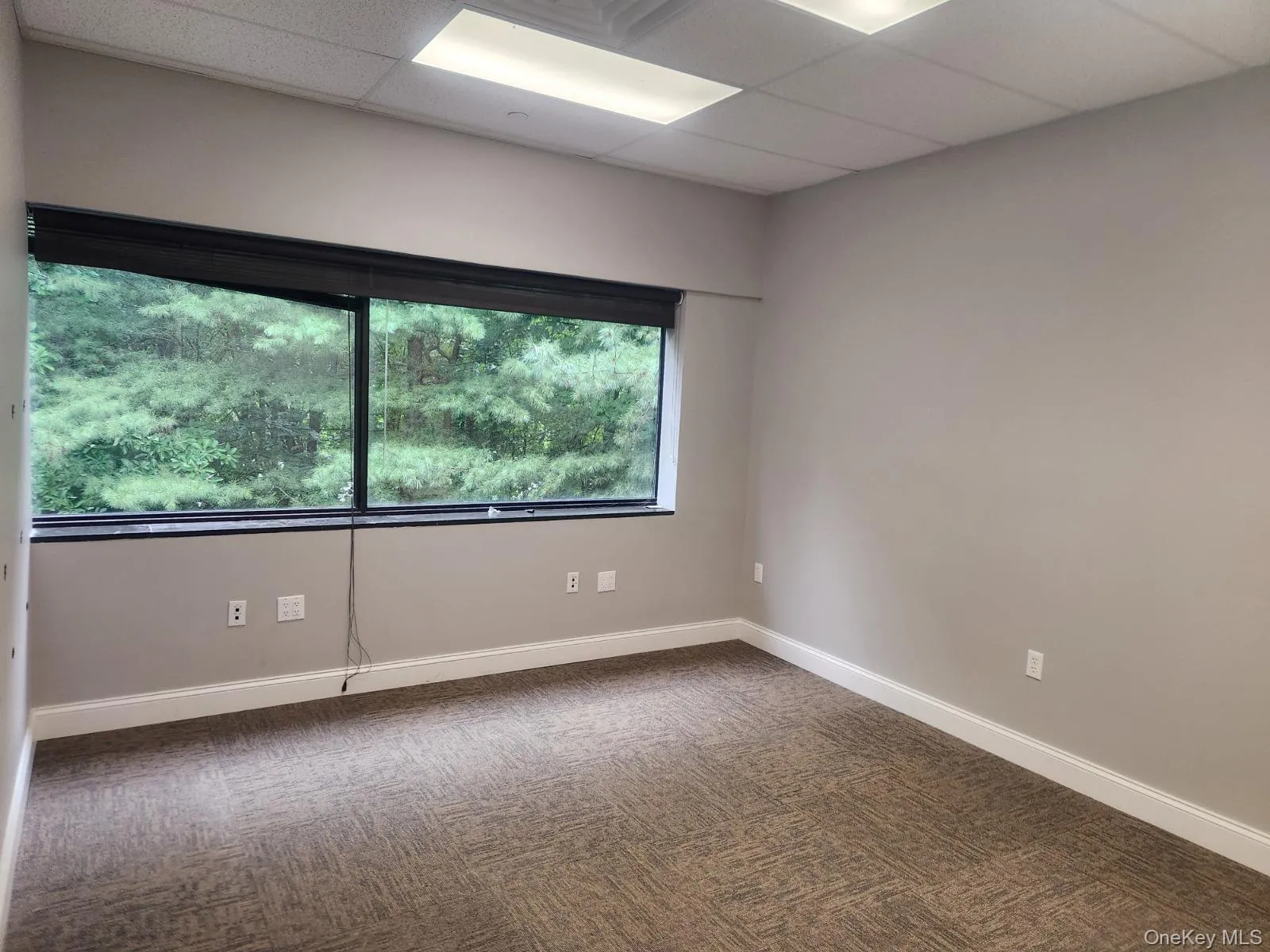 Unfurnished room featuring a paneled ceiling and carpet Unfurnished room featuring a paneled ceiling and carpet