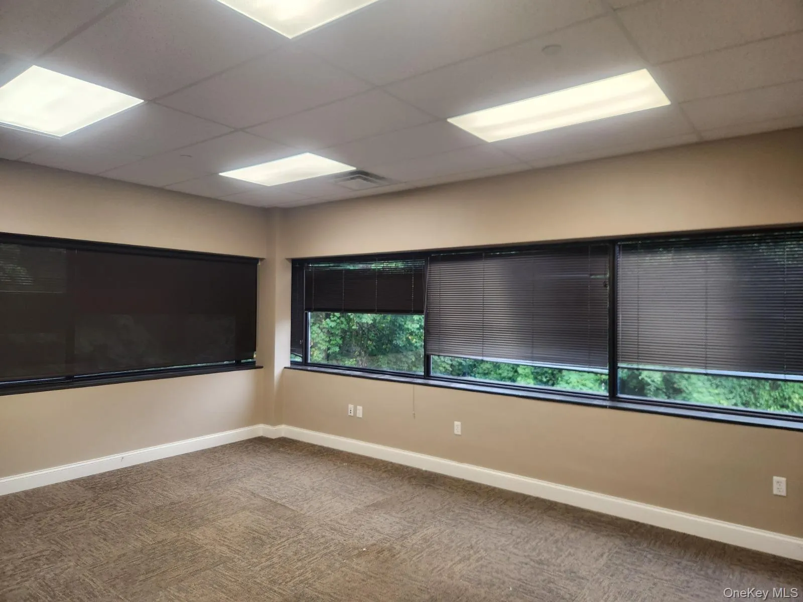 Spare room with a drop ceiling and carpet Spare room with a drop ceiling and carpet