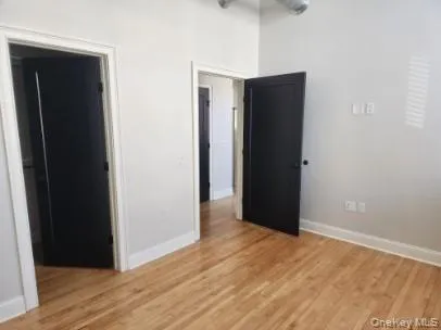 Unfurnished bedroom featuring light wood-style flooring and a spacious closet Unfurnished bedroom featuring light wood-style flooring and a spacious closet