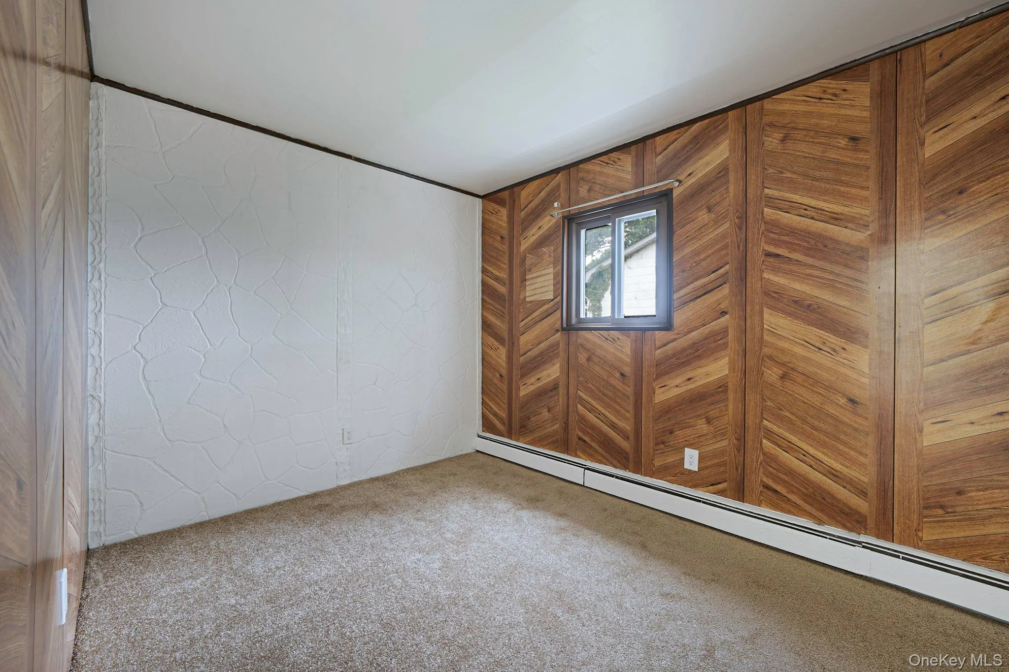 Empty room featuring a baseboard heating unit, light colored carpet, and wooden walls Empty room featuring a baseboard heating unit, light colored carpet, and wooden walls