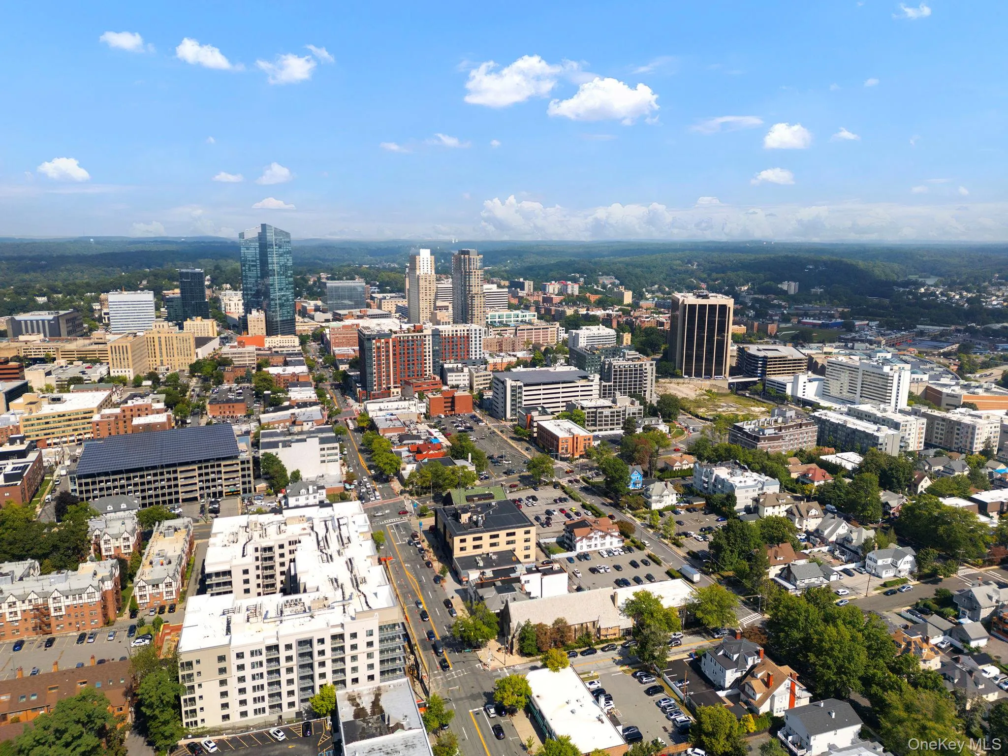 The beautiful city of White Plains! The beautiful city of White Plains!