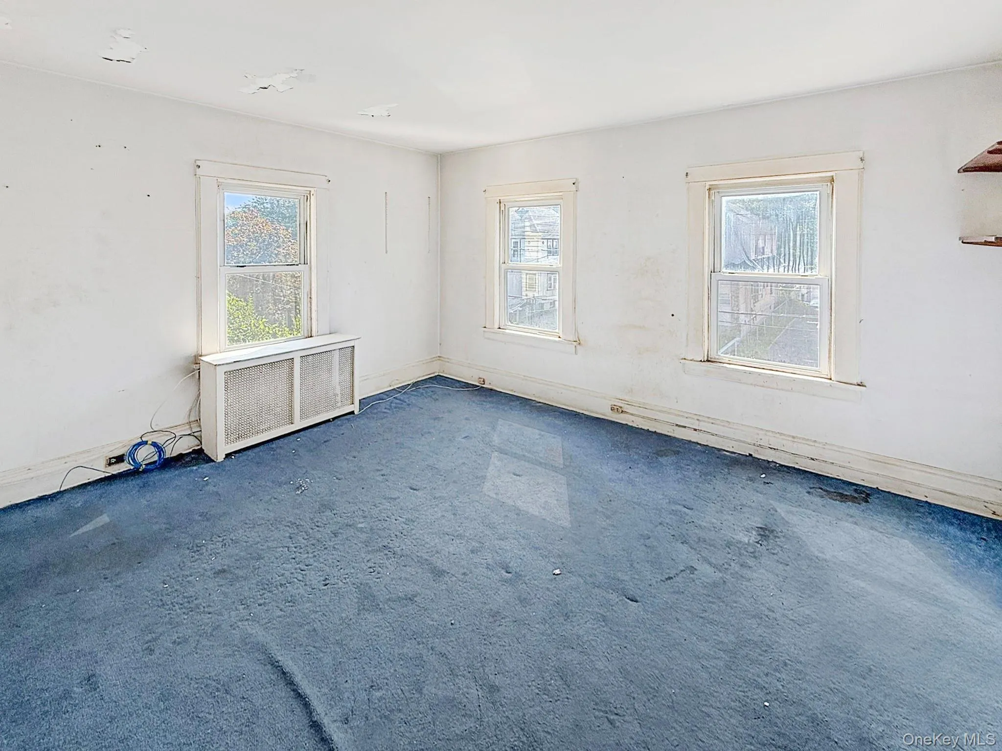 Carpeted empty room with radiator and plenty of natural light Carpeted empty room with radiator and plenty of natural light