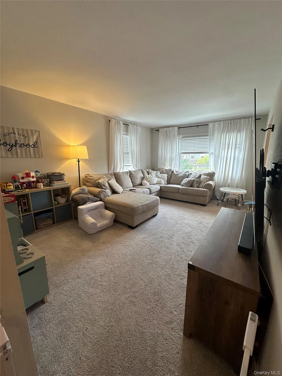 Living area featuring carpet Living area featuring carpet