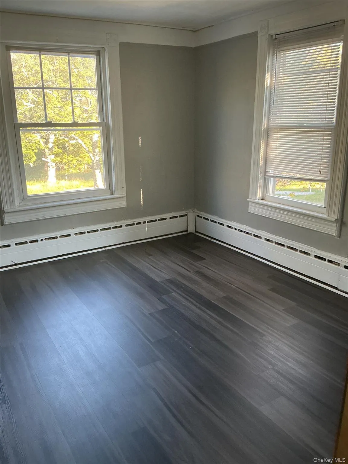 Spare room featuring dark wood-style floors, healthy amount of natural light, and a baseboard radiator Spare room featuring dark wood-style floors, healthy amount of natural light, and a baseboard radiator