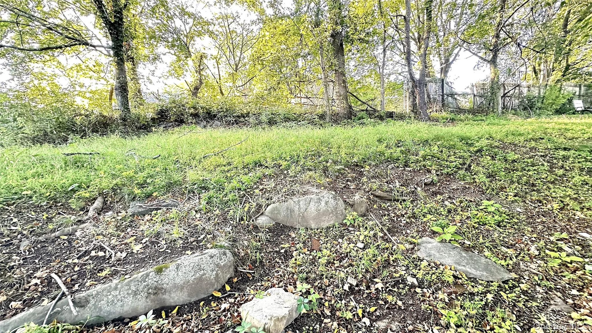 View of yard View of yard