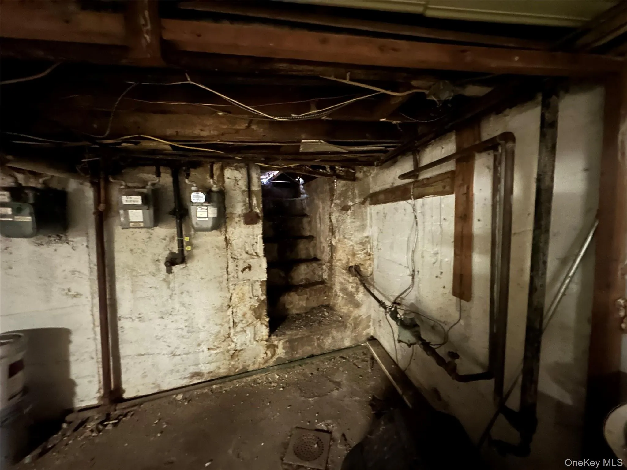 Unfinished basement featuring gas meter Unfinished basement featuring gas meter