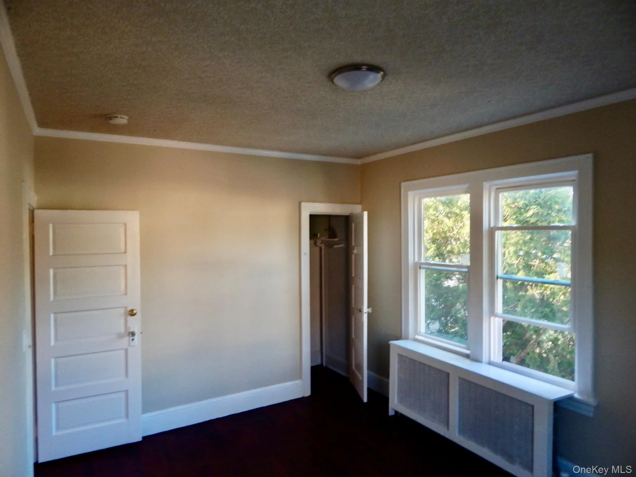 Spare room with radiator, ornamental molding, a textured ceiling, and dark wood-style floors Spare room with radiator, ornamental molding, a textured ceiling, and dark wood-style floors