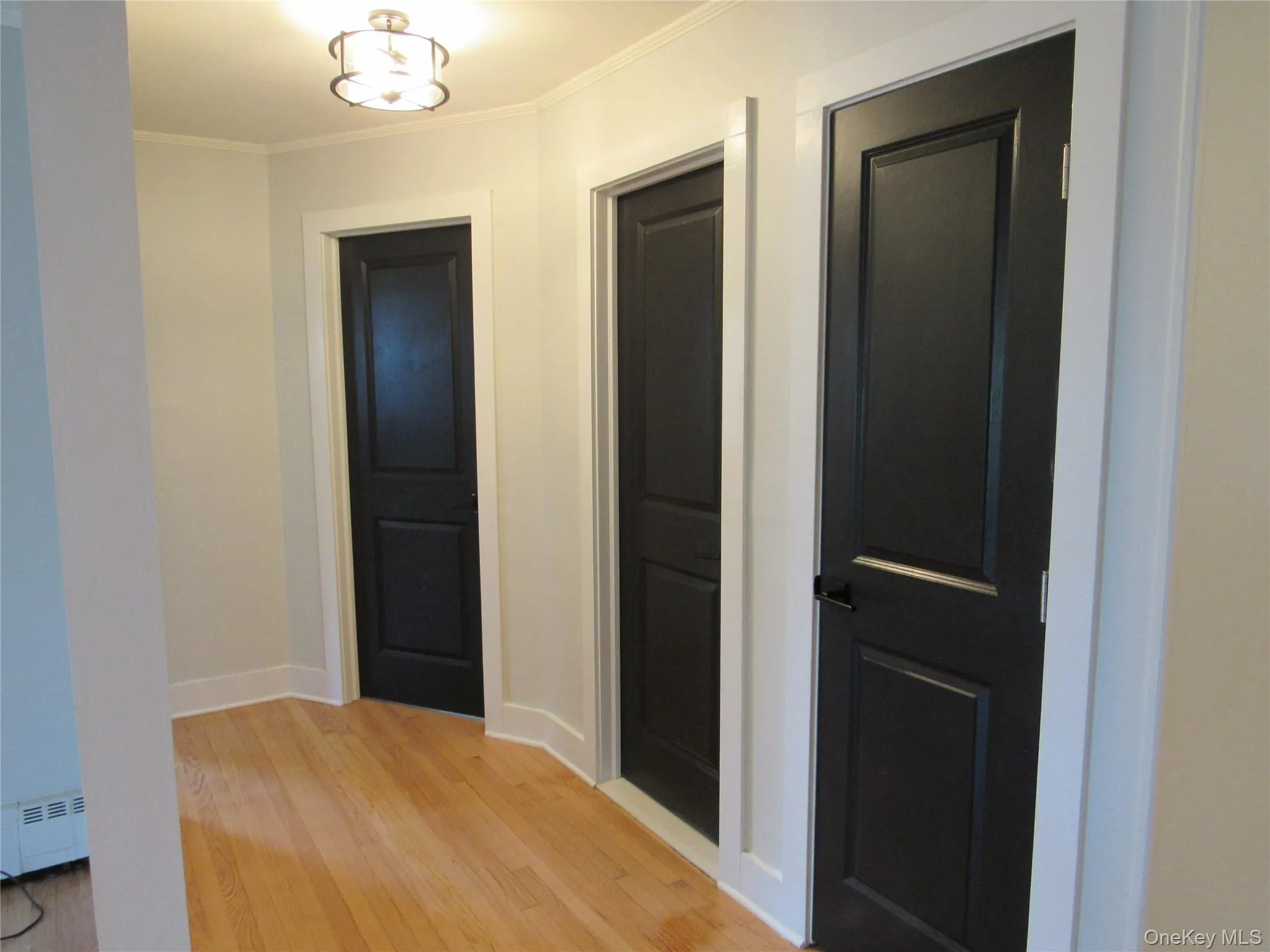Corridor featuring crown molding, light wood finished floors, and baseboard heating Corridor featuring crown molding, light wood finished floors, and baseboard heating